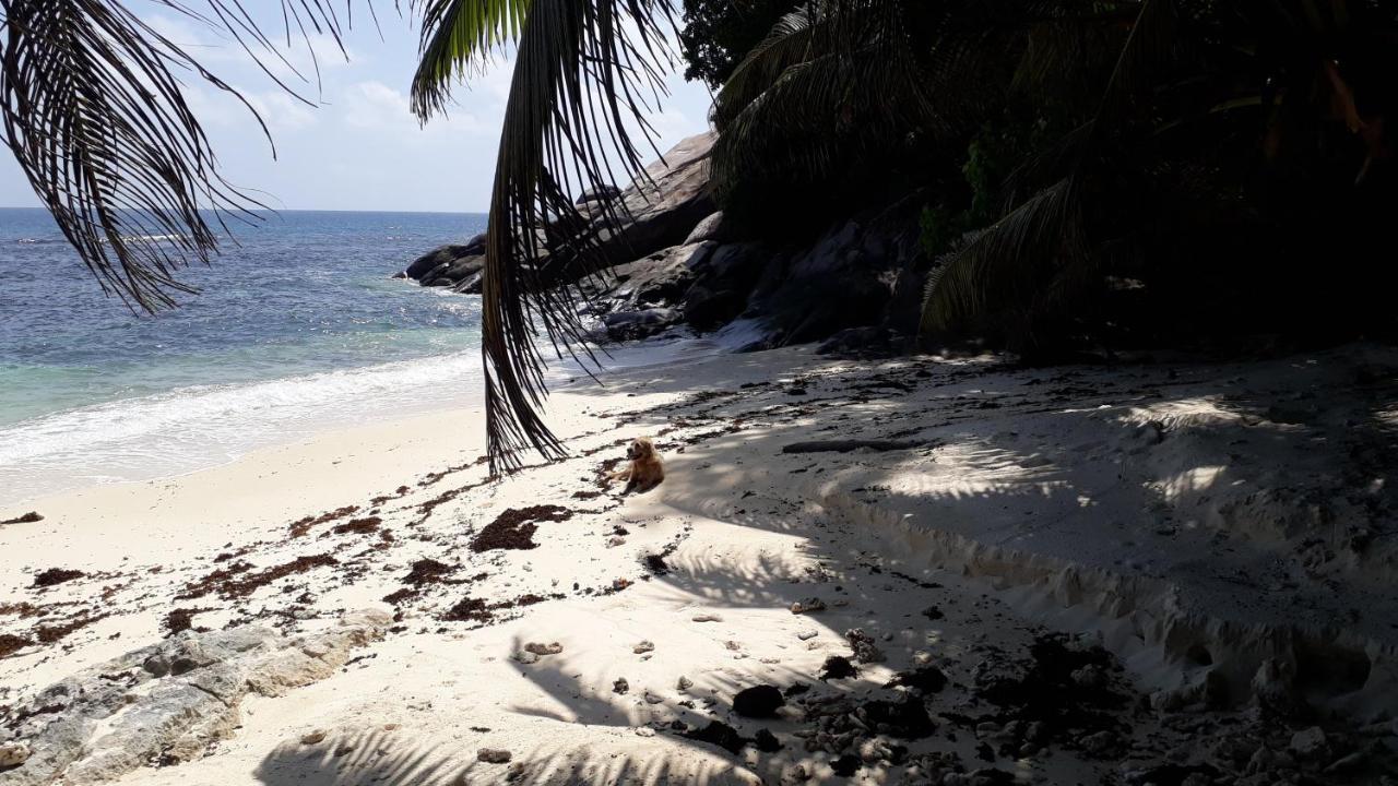 Eden Island Luxury Apartment Sea View المظهر الخارجي الصورة